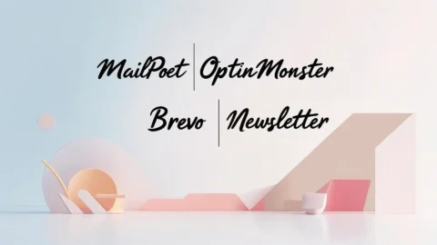 Best WordPress Email Plugins 2025 comparison featuring MailPoet, OptinMonster, Brevo, and Newsletter plugin interface on TrendMeadow blog